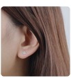 Silver Studs Earrings STF-11